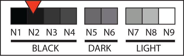 Body tone N2 swatch, very dark