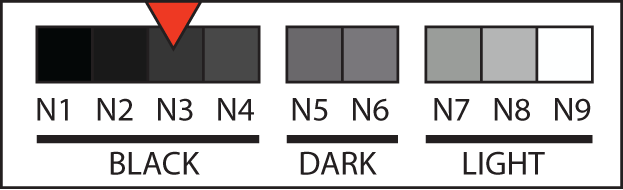 Body tone N3 swatch, dark