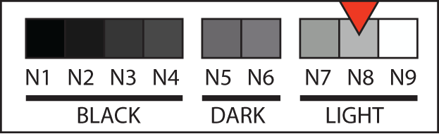 Body tone N8 swatch, very light